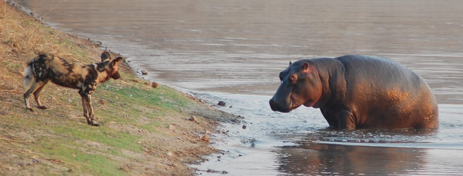 Placeholder schematic map showing a Cape–Kruger–Kalahari style triangle