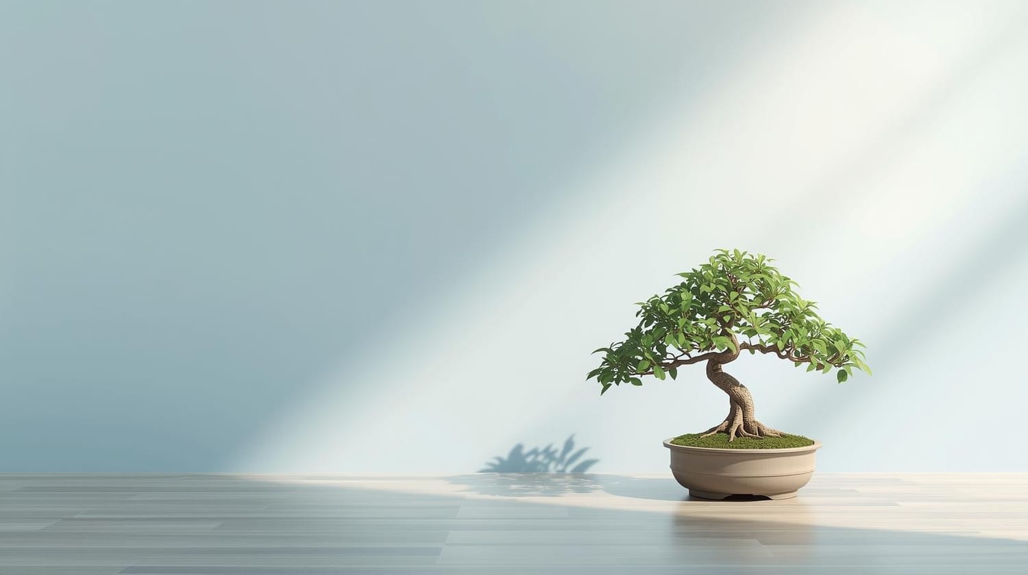 coltivare la presenza