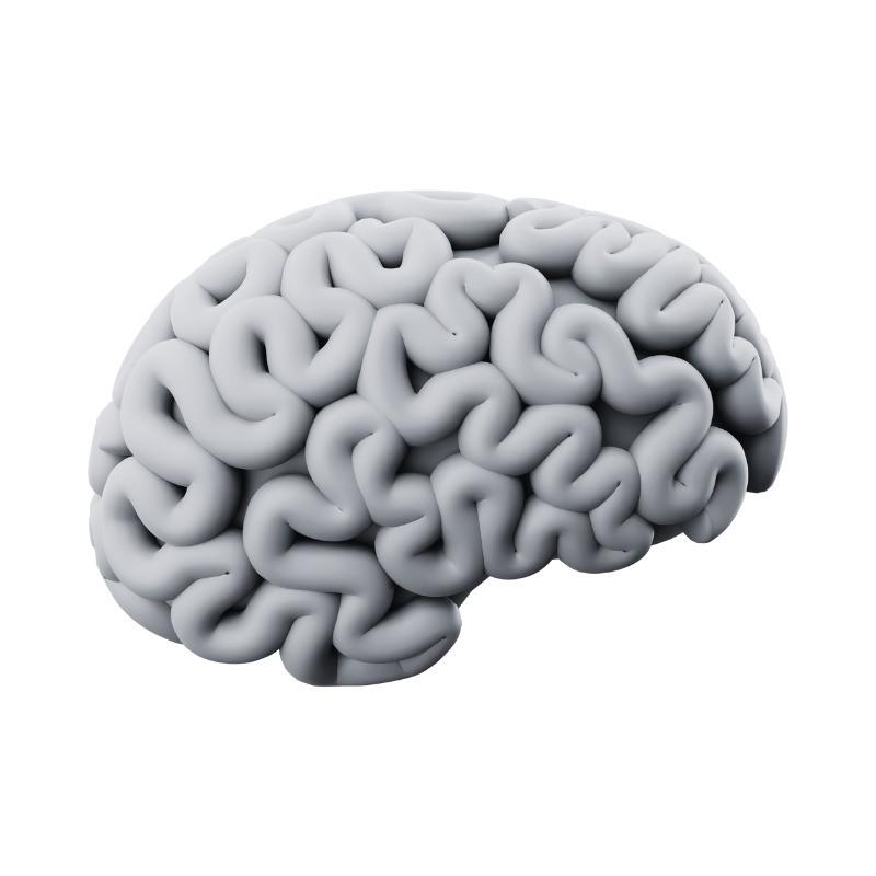 Embedded SVG