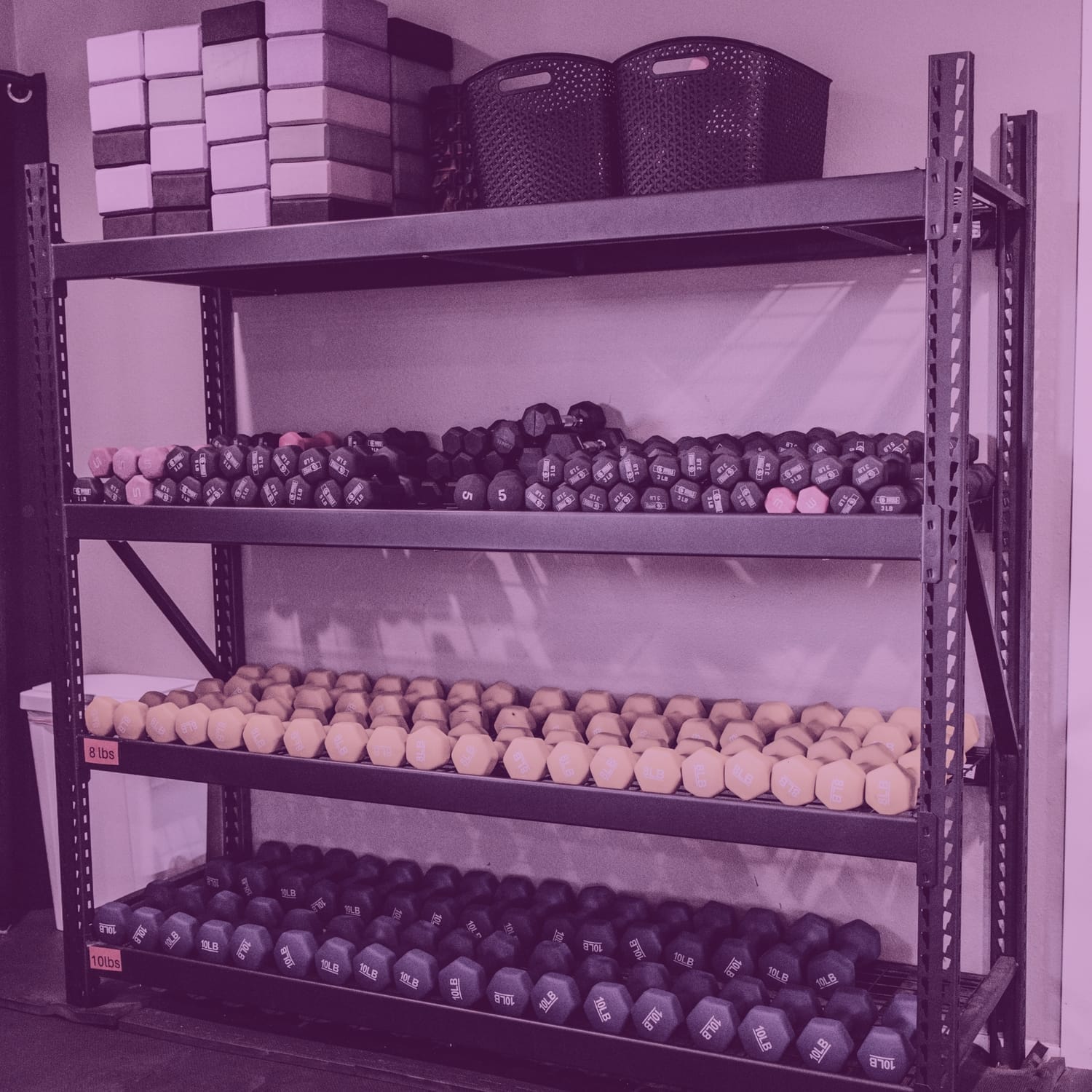 Wall-mounted dumbbell rack organized by color and weight, next to fitness equipment bins