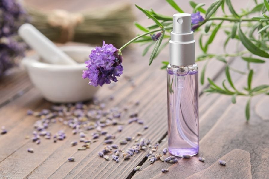 Hydrolat ou eau florale de lavande fine