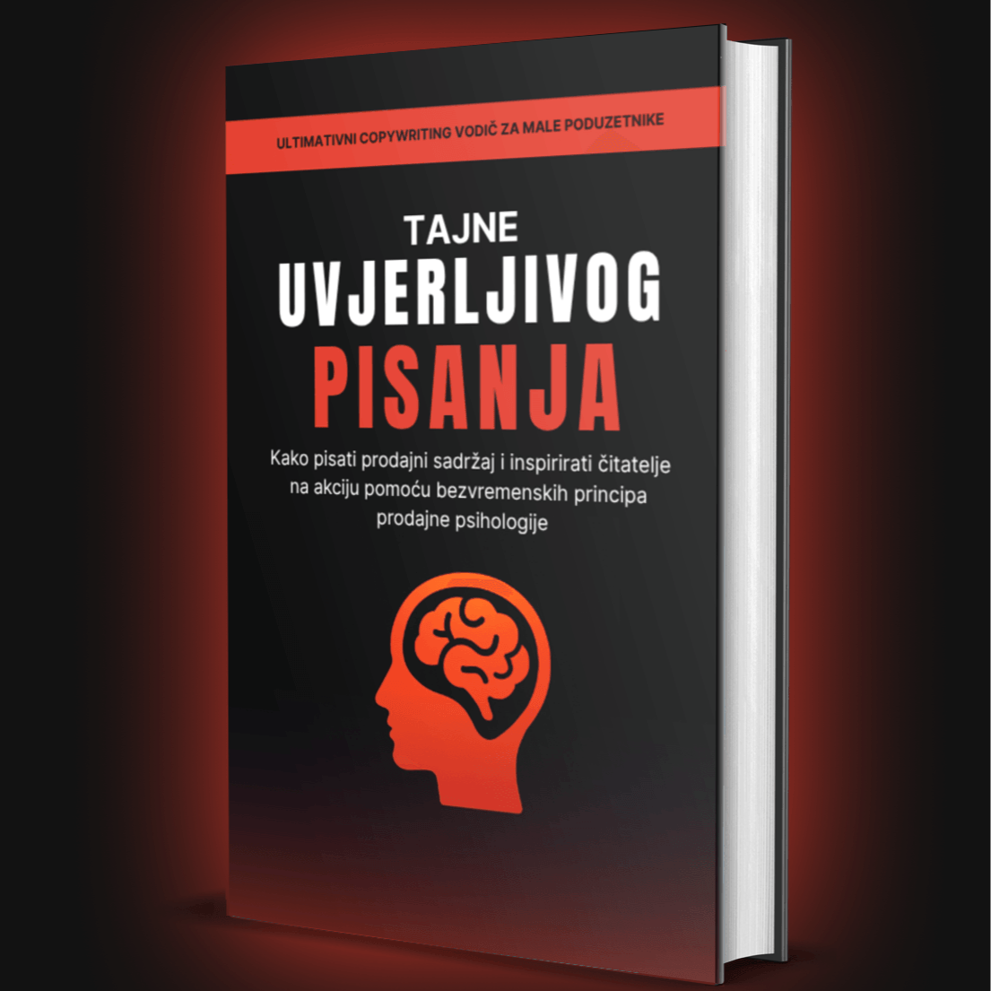 Tajne uvjerljivog pisanja