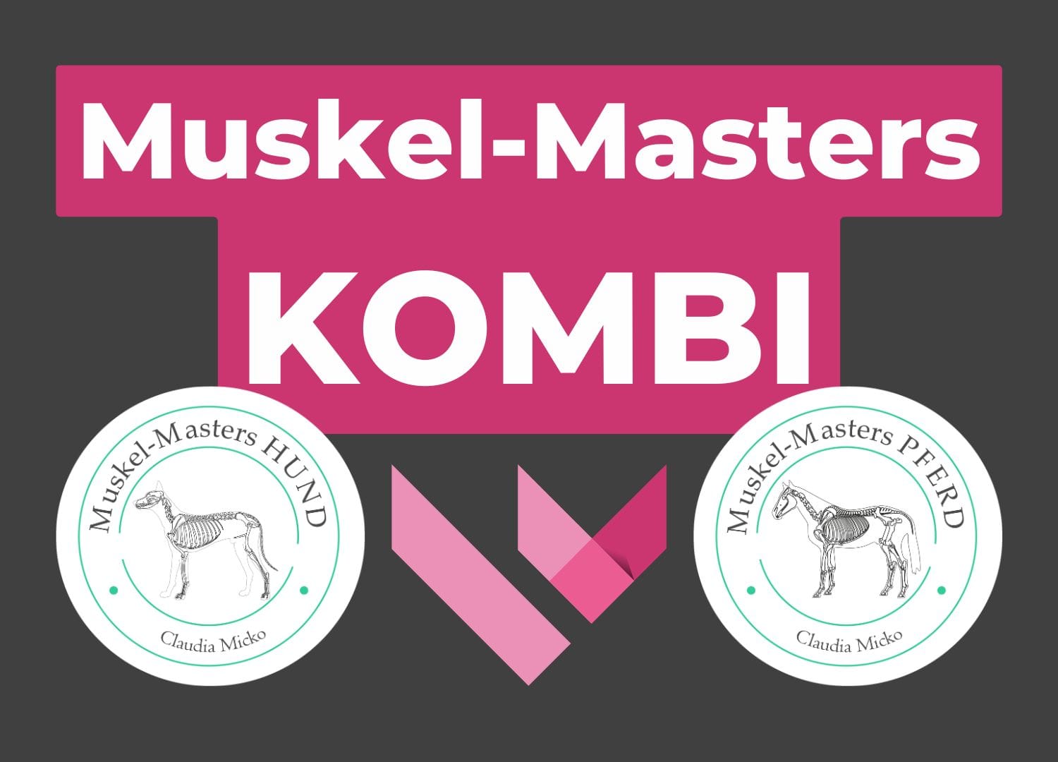 https://claudiamicko.systeme.io/muskelmasters-kombi