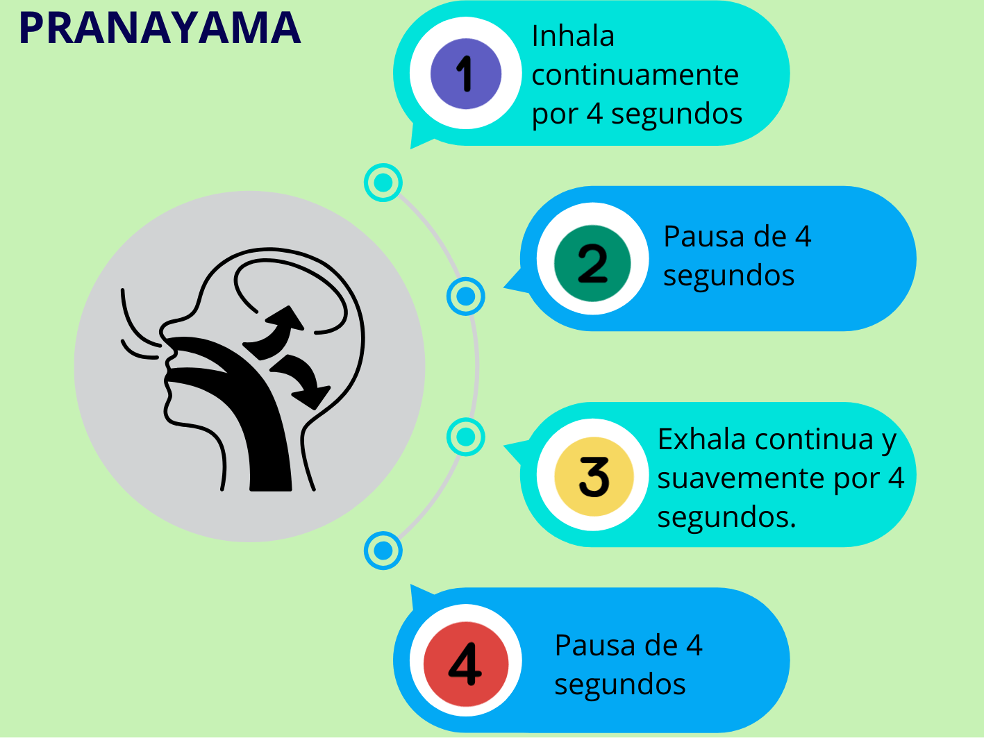 El ciclo del pranayama habitual