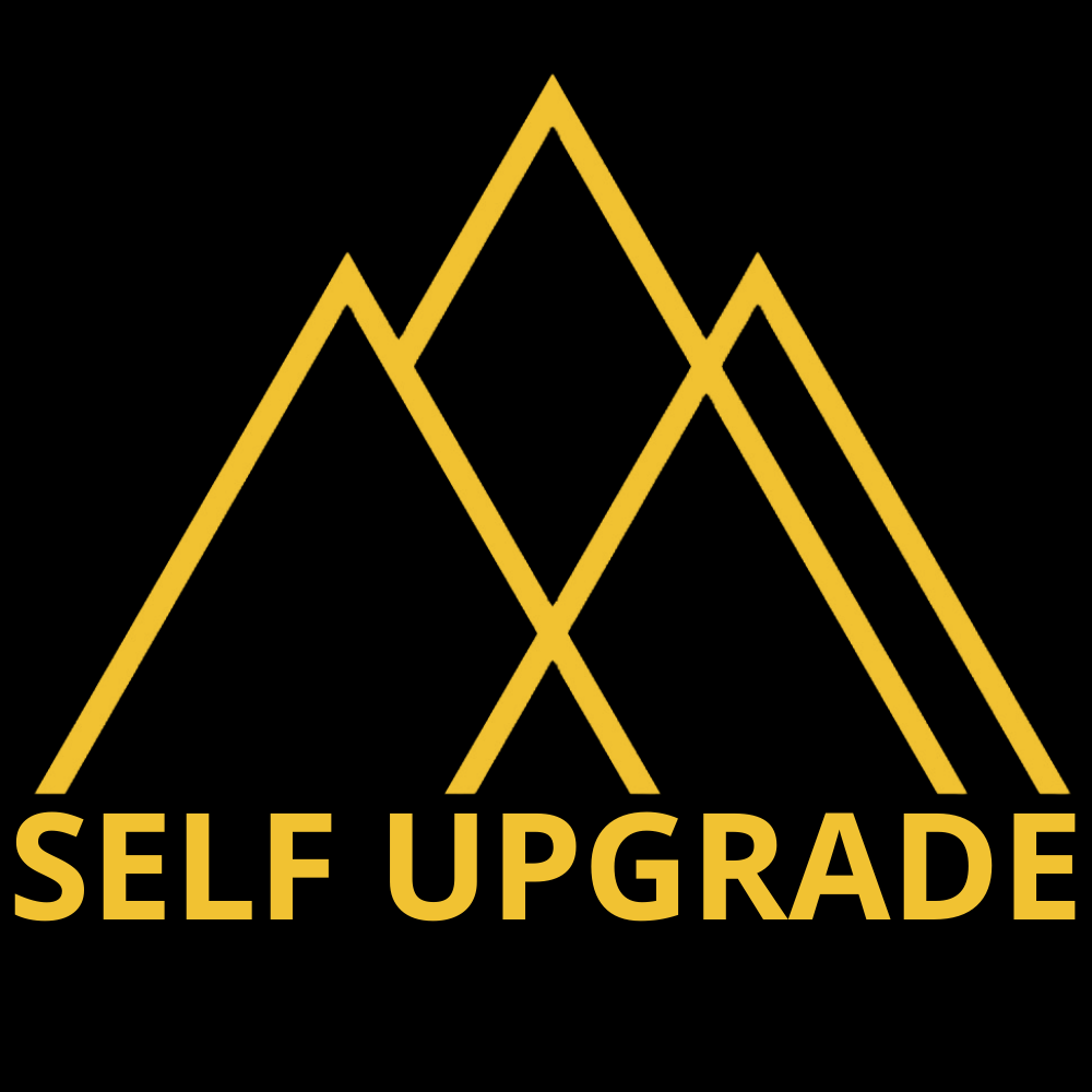 Chaîne Youtube de SELF UPGRADE