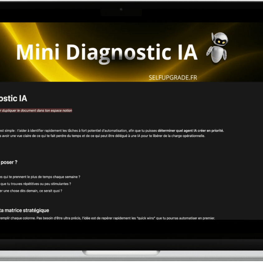 Mini diagnostic IA