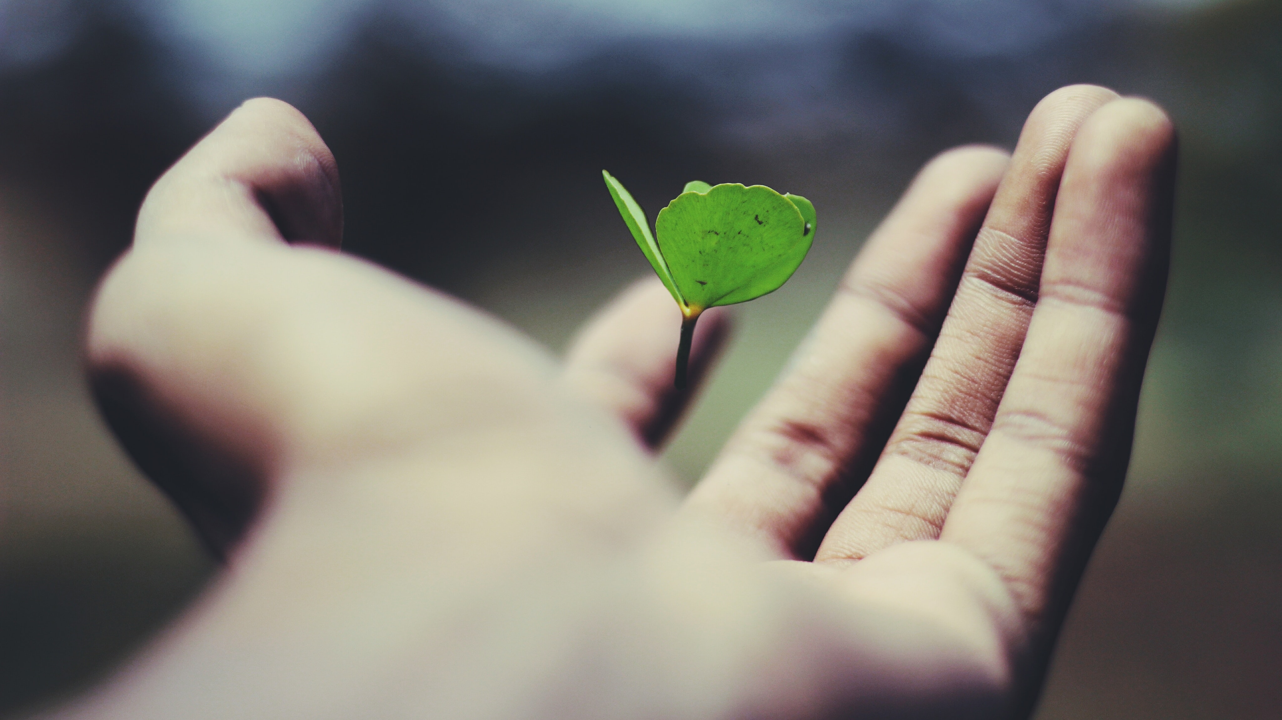 projet,objectif,puissance,panouie,travail,carri,re,stress,technique,humain,courage,volont,confiance,conf,rence,geoffrey,brochet,ma puissance mentale,objectif de vie,champion,entrepreneur,cl,s,coach,acad,mie,instagram,pinterest,linkedin,lâcher prise,mindset,pnl,hypnose,force mentale,passer à laction,pensée positive,m,ditation,relaxation,audio de récupération,facebook,confiance en soi,changer de vie,m,ditation,lâcher prise,mental,motions,potentiel,confiance,pr,paration