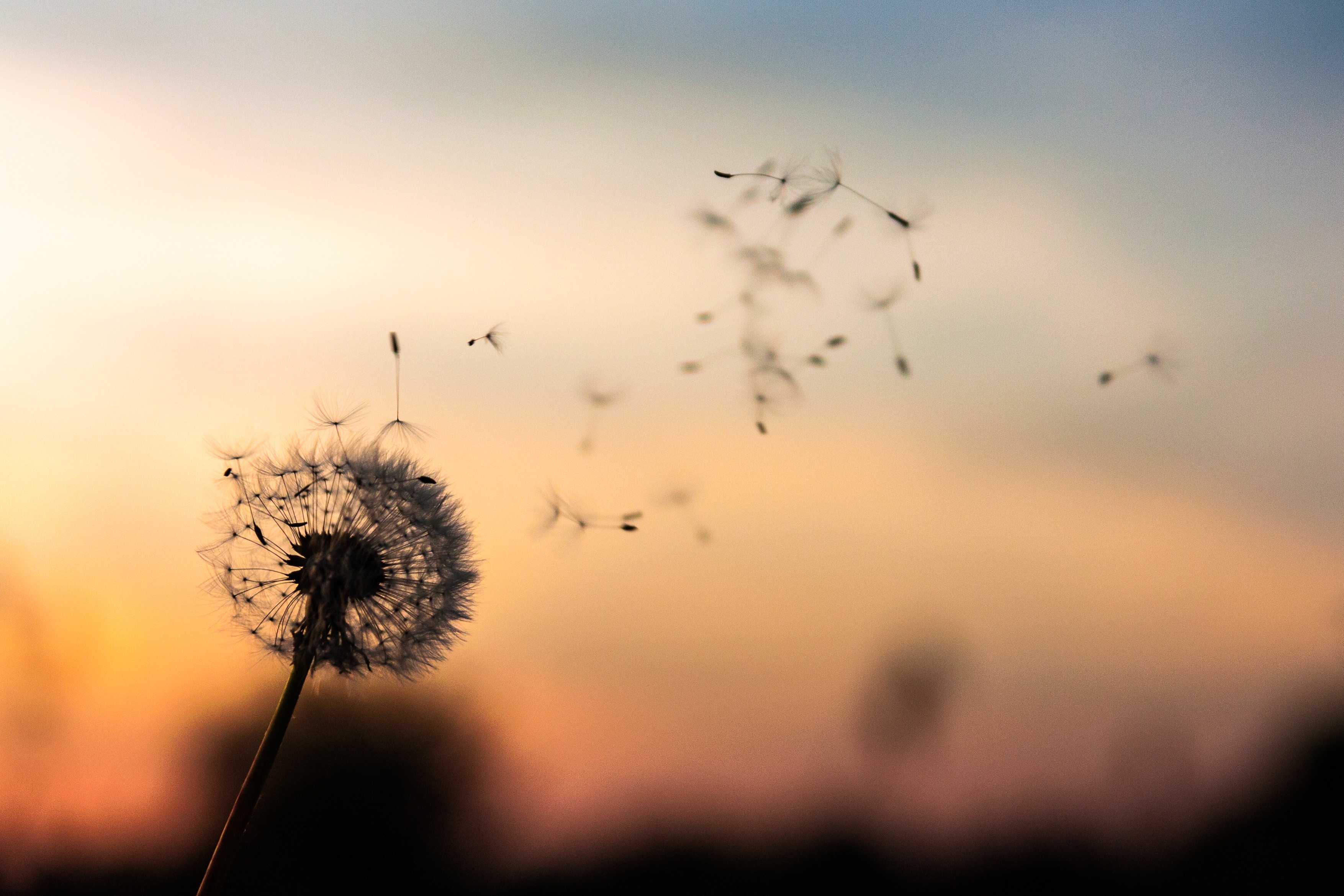 projet,objectif,puissance,panouie,travail,carri,re,stress,technique,humain,courage,volont,confiance,conf,rence,geoffrey,brochet,ma puissance mentale,objectif de vie,champion,entrepreneur,cl,s,coach,acad,mie,instagram,pinterest,linkedin,lâcher prise,mindset,pnl,hypnose,force mentale,passer à laction,pensée positive,meditation,relaxation,audio de récupération,facebook,confiance en soi,changer de vie,m,ditation,lâcher prise,mental,motions,potentiel,confiance,preparation