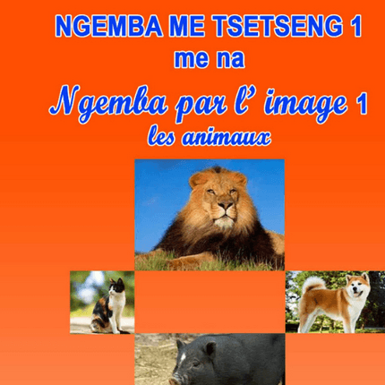 Ngemba Me Tsetseng  Tome1 : Le Ngemba en Images – Apprenez par la Découverte !