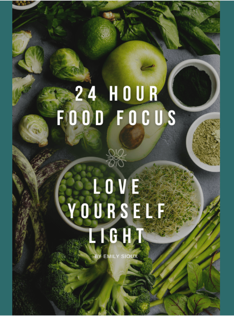 24 Hour Food Focus guide cover