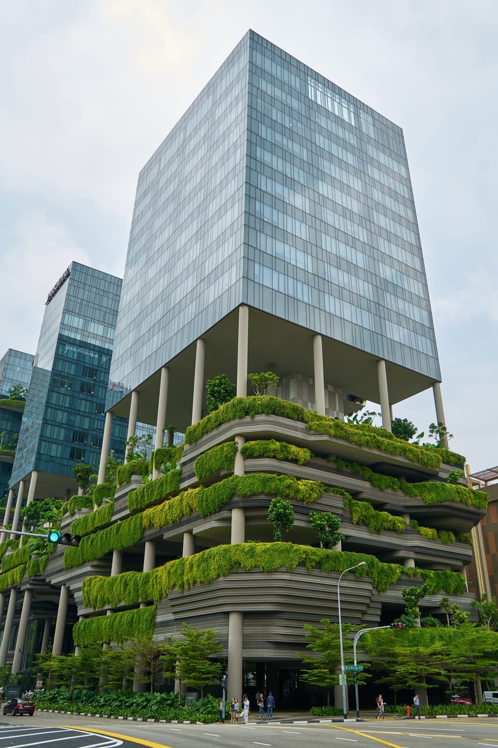 Emerging Professions: Green Collar Professionals