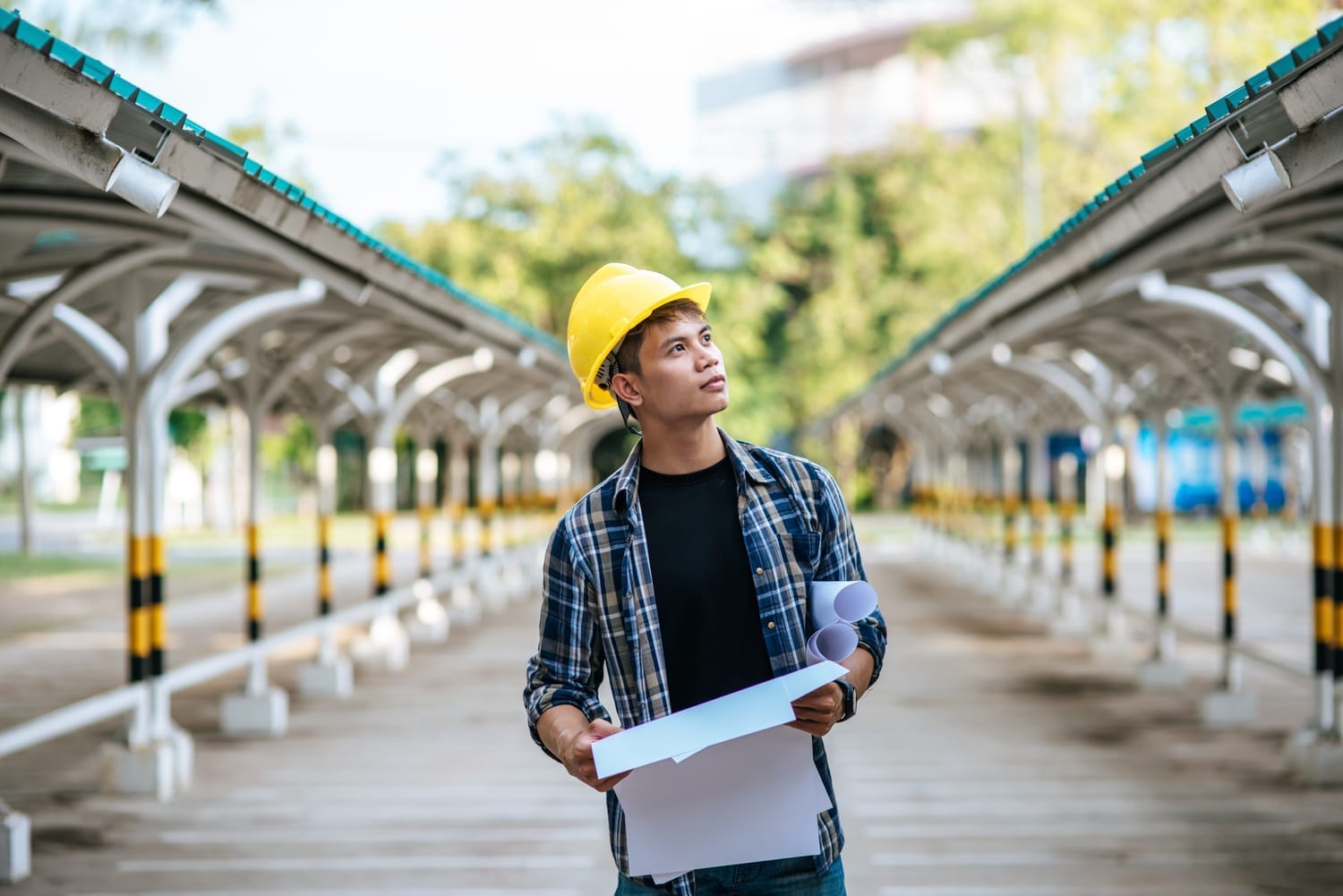 Emerging Professions: Green Collar Professionals