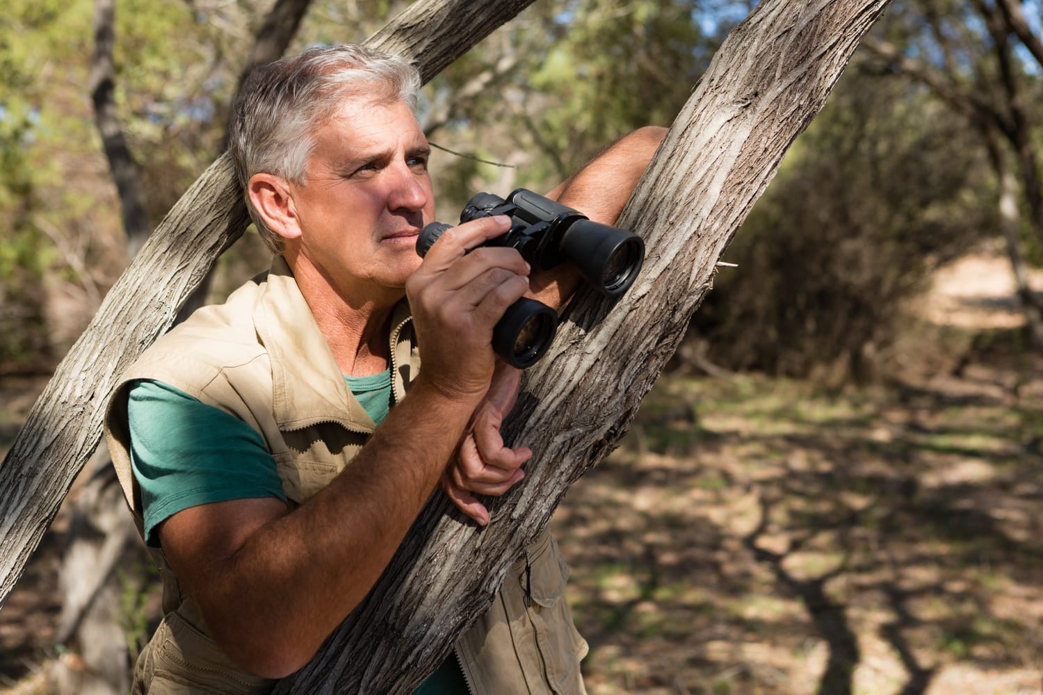 Wildlife Photography
