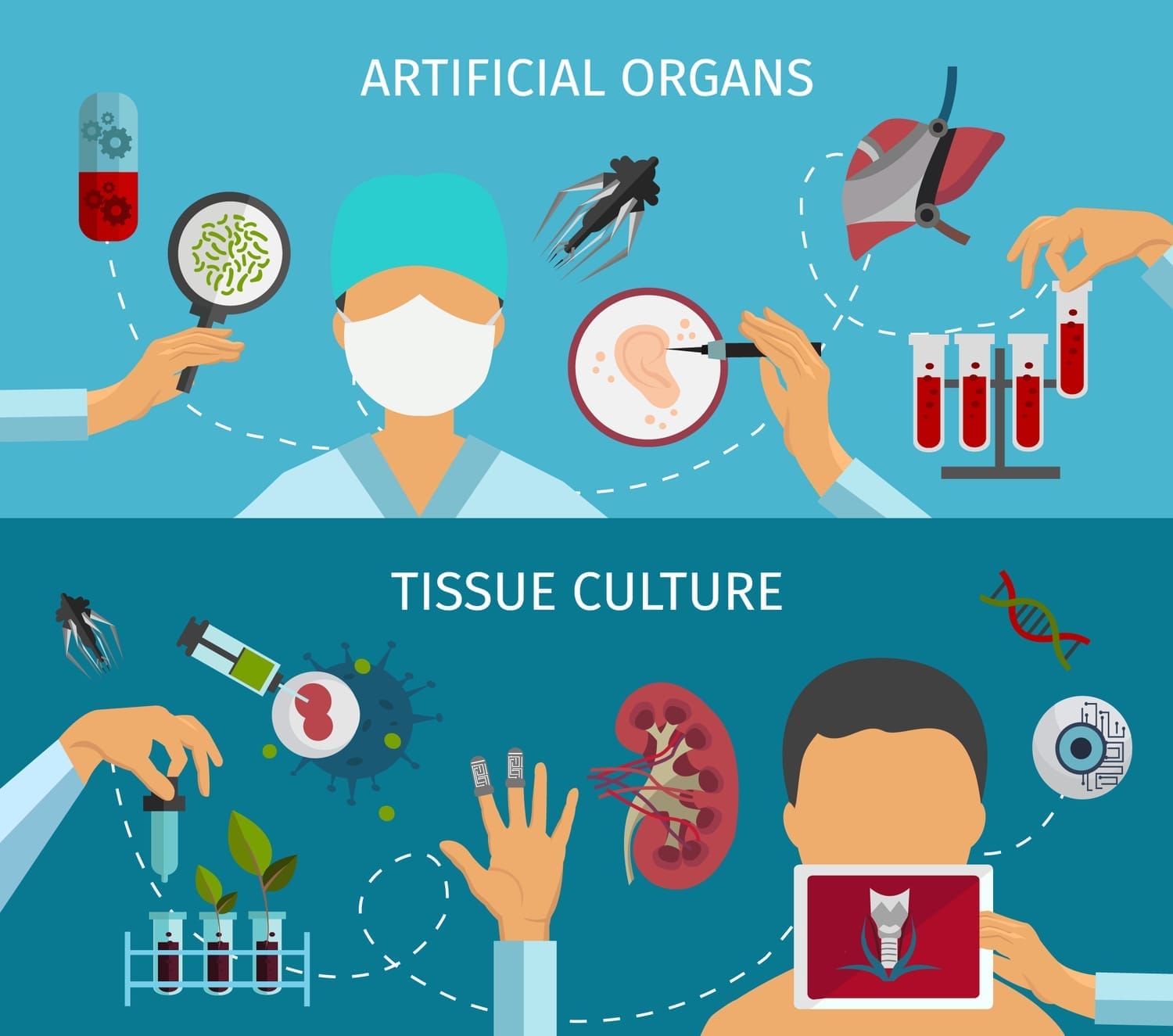 Tissue Engineering: Crafting the Future of Medicine