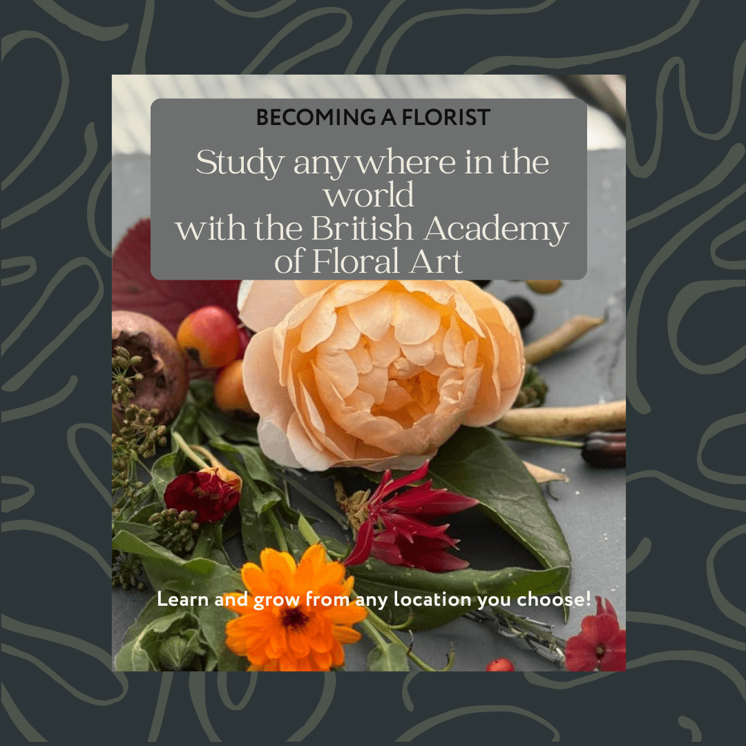 British Academy of Floral Art online Fundermentals Floristry Course- study professional floral design techniques from anywhere in the world, guided by expert tutors.