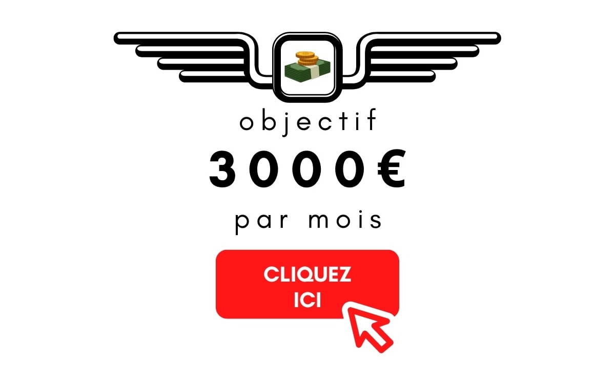 Objectif : 3000 € par mois