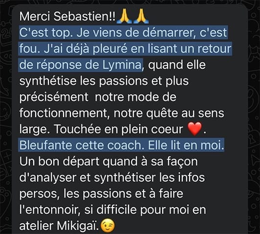 Avis des bêta-testeurs sur Lumina AI.