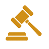 Understand Arizona Gun Laws