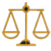 Your Rights