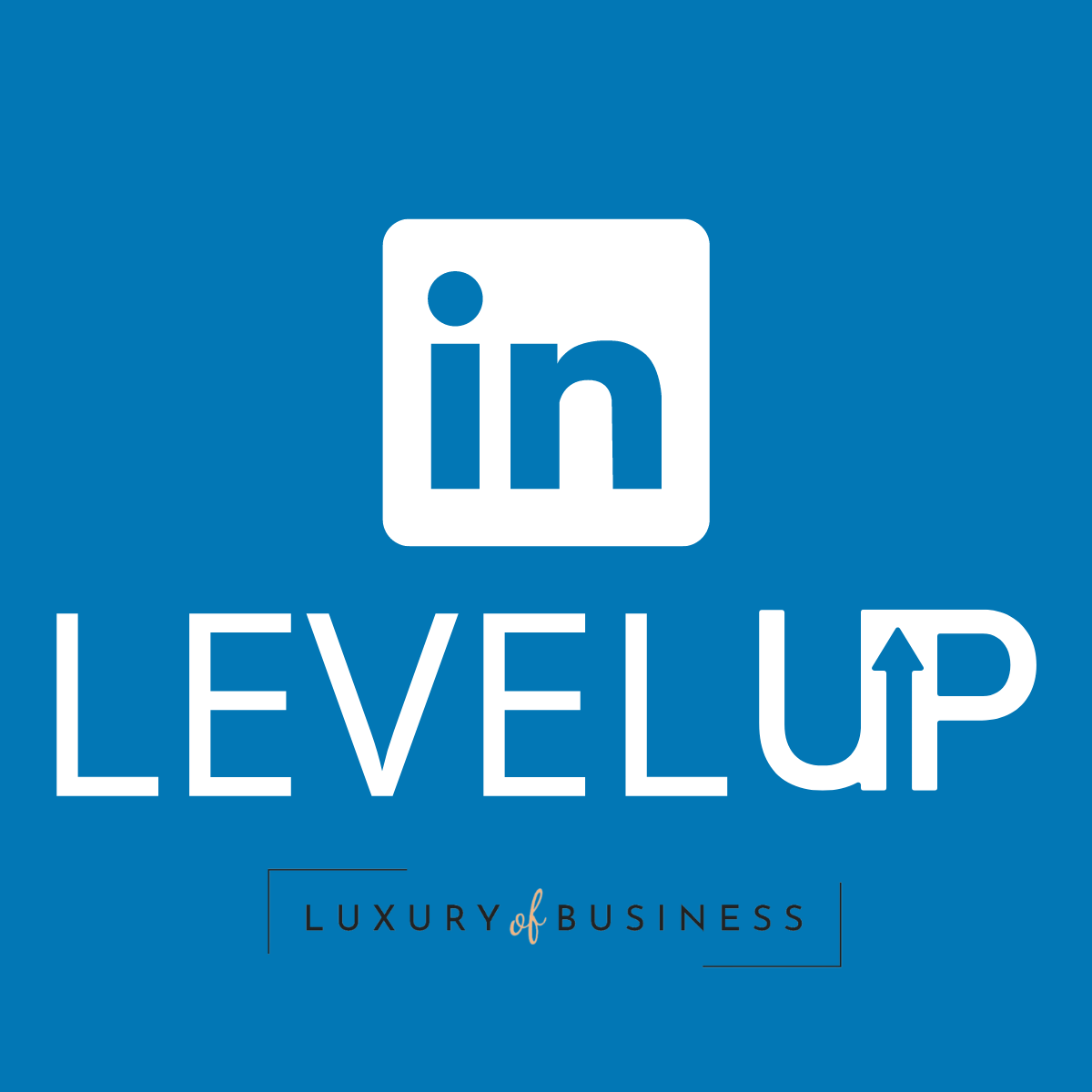 LinkedIn Level Up