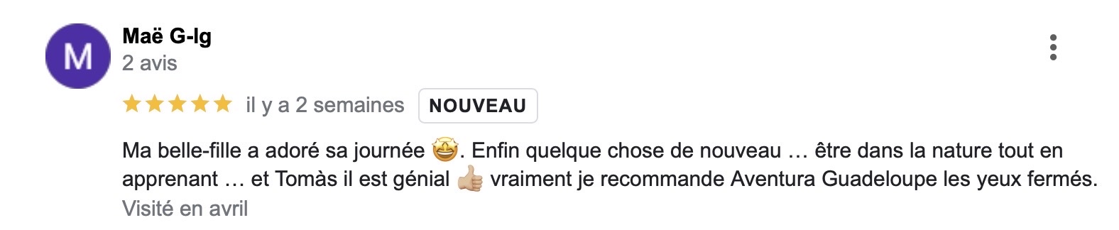 premier avis google
