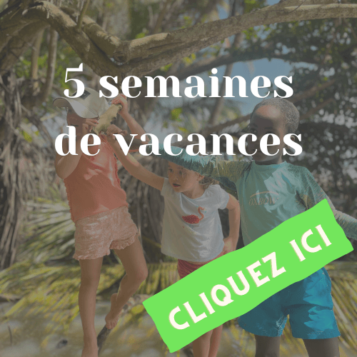 3 enfants dans un arbre au bord de la mer