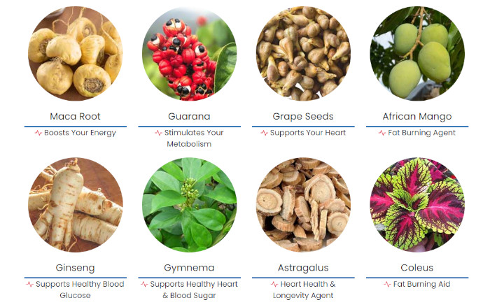 amiclear ingredients