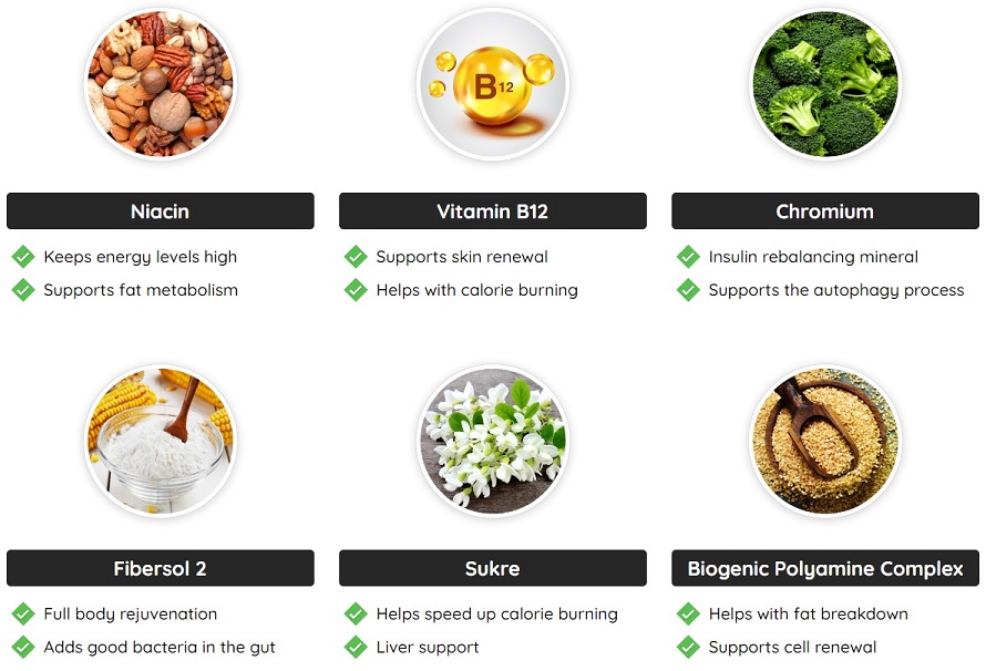 fast lean pro ingredients