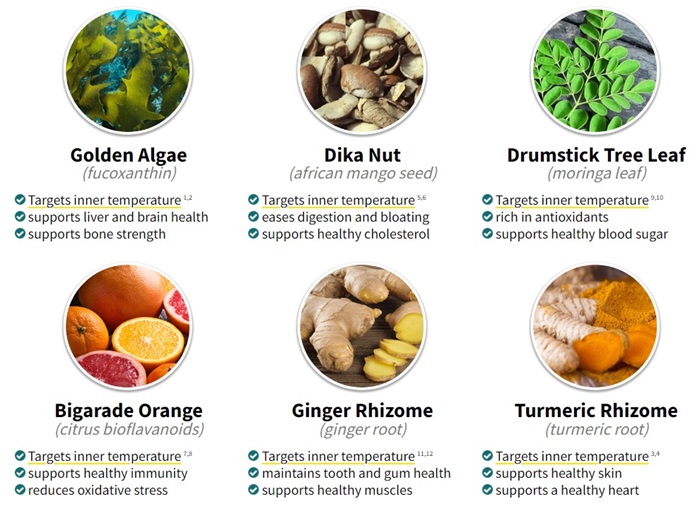 alpilean-ingredients