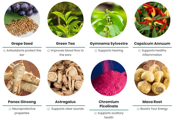 cortexi-ingredients