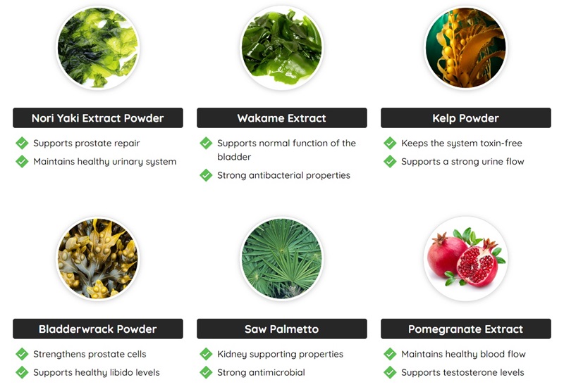 prostadine-drops-ingredients