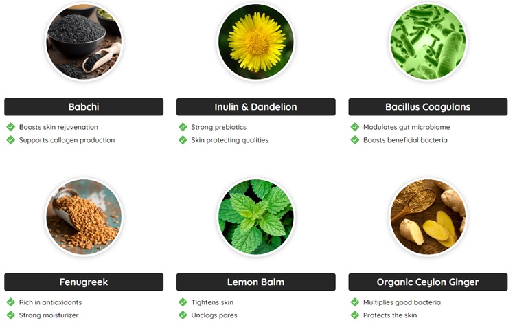 neotonics-ingredients-review