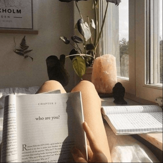 Book List + Amazon Favs