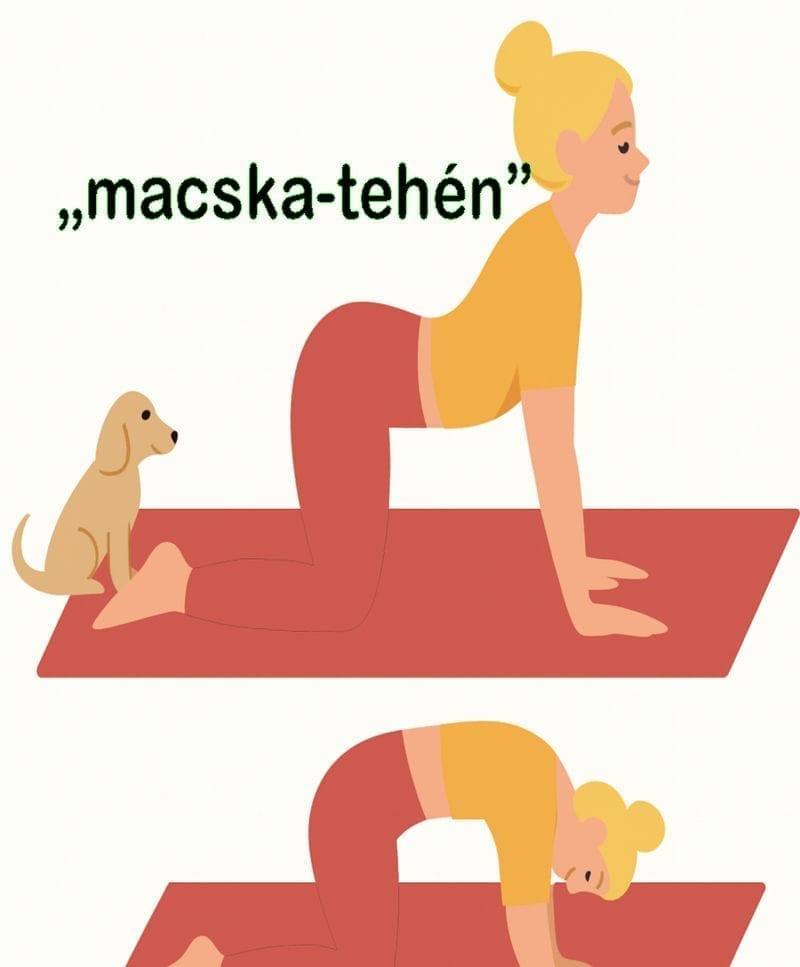 Fájdalomcsillapító jóga