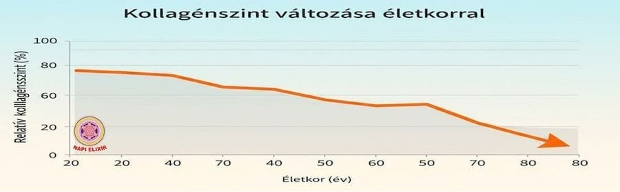 A kollagénszint évente körülbelül 1%-kal csökken, és ez a visszaesés a harmincas éveinkben még fokozódhat