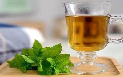 Menta levél, egy csésze borsmenta tea, az egészség megőrzéséért.
