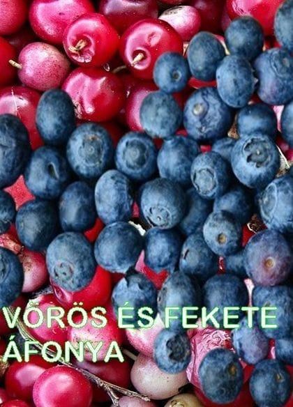 Vörös és fekete áfonya termések láthatók