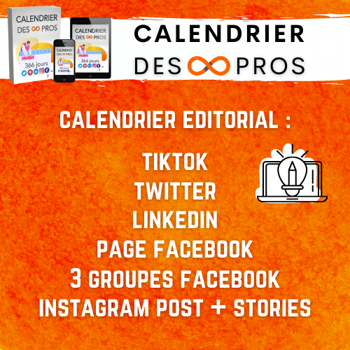 calendrier de publications des pros benedicte lagardette réseaux sociaux