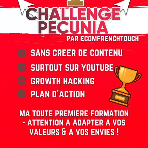challenge pecunia formation affiliation ecomfrenchtouch benedicte lagardette