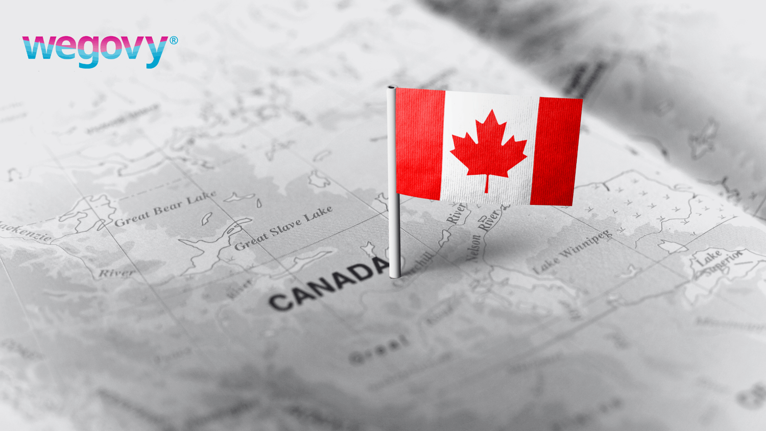 qui prescrit le wegovy au québec