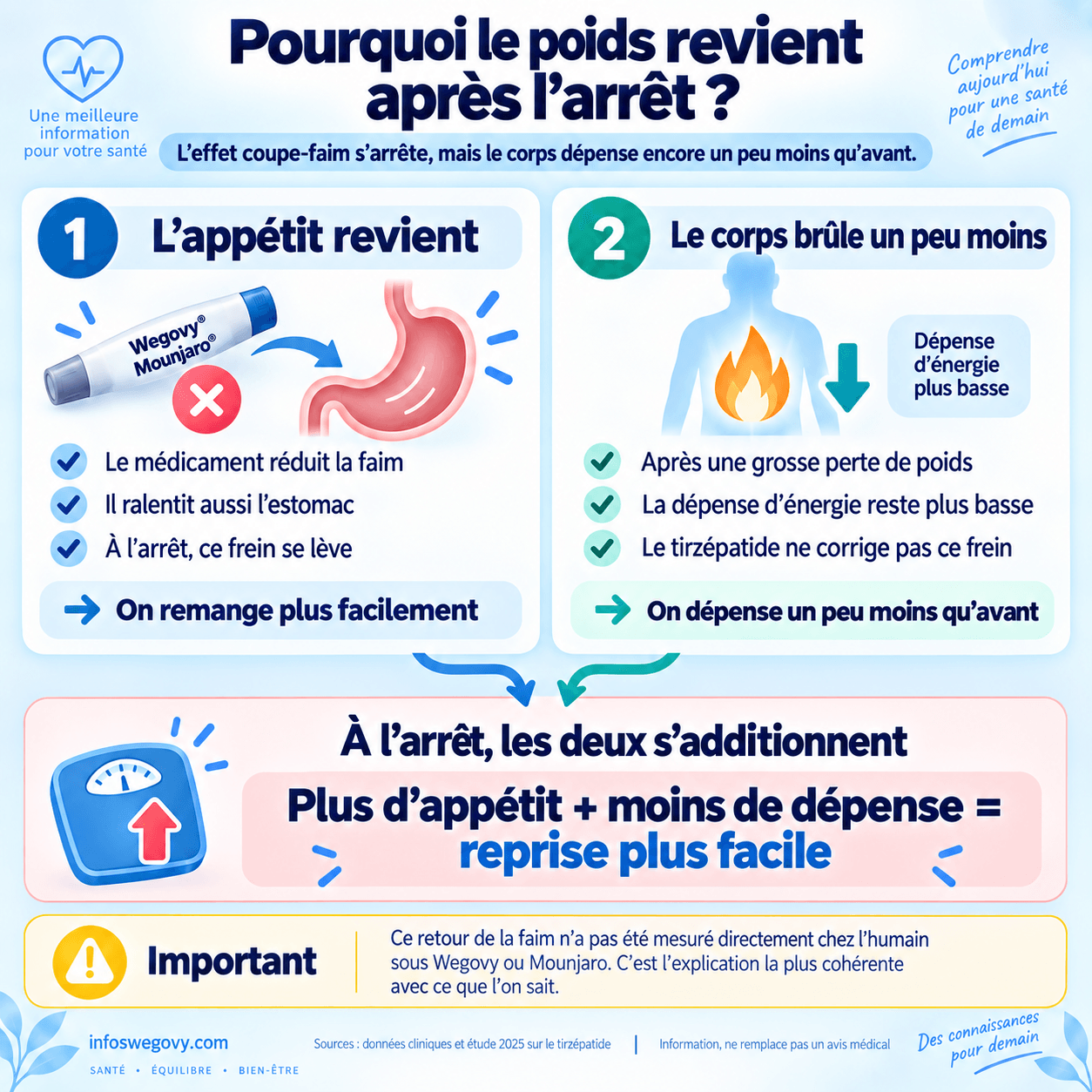 Pourquoi le poids revient quand on arrête le Wegovy ou le Mounjaro
