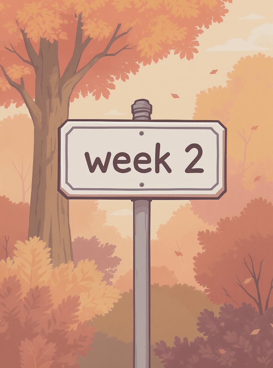 Week 2 AI tools guide Canva features for beginners