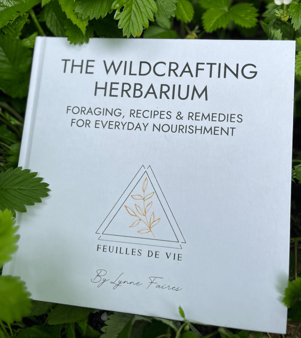 The Wildcrafting Herbarium Book Cover