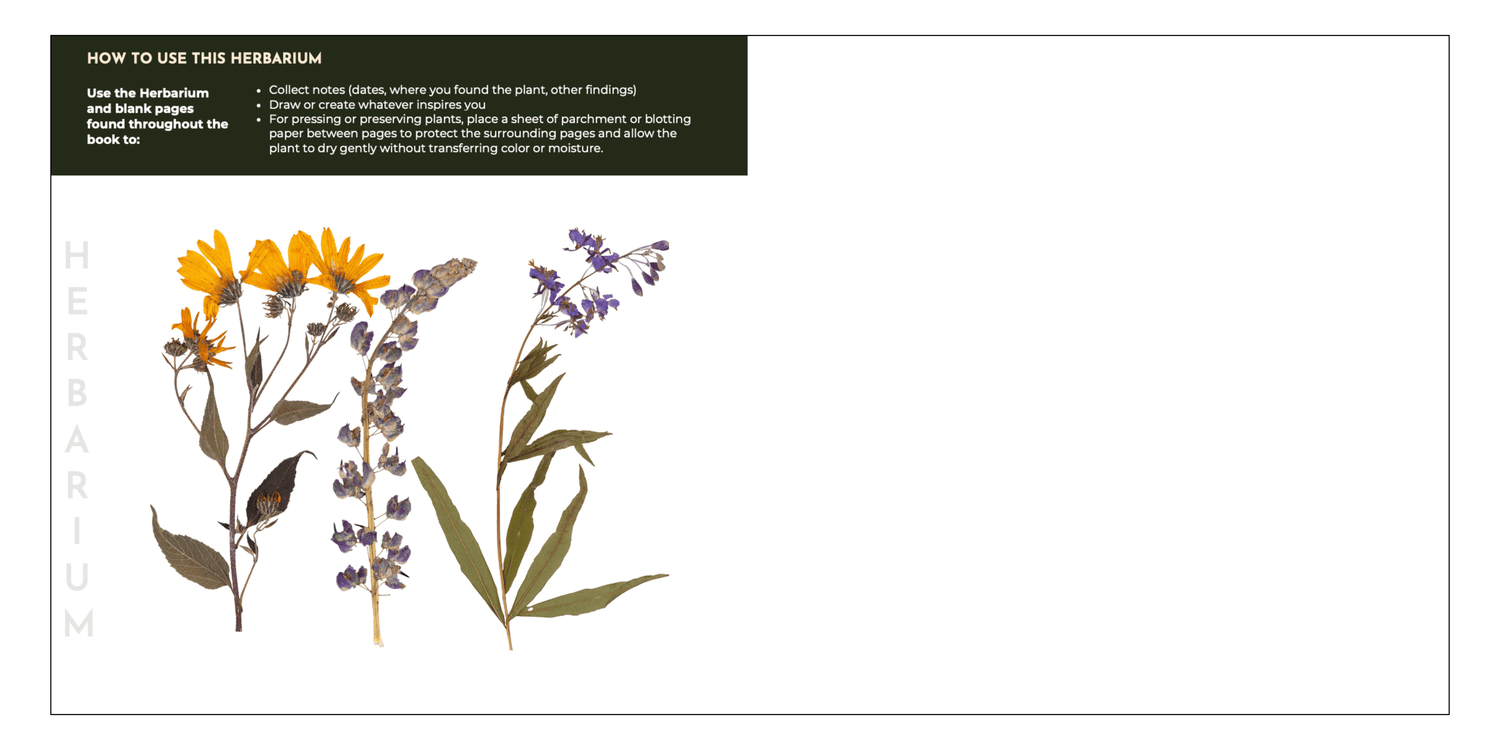 How to use a herbarium