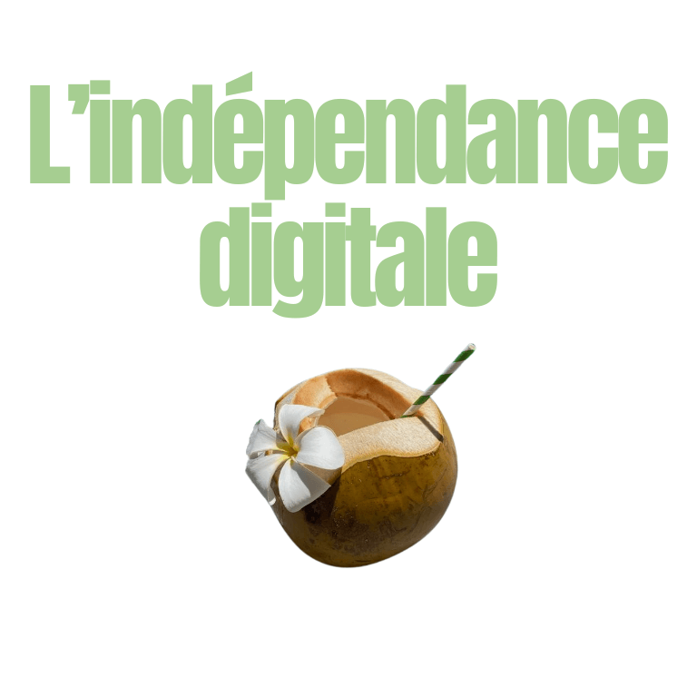 L'Indépendance Digitale (LID) 597€