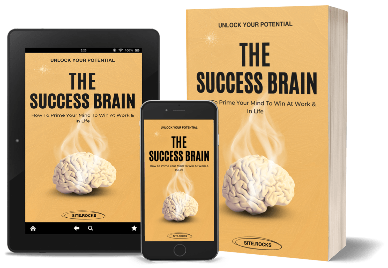 The Success Brain