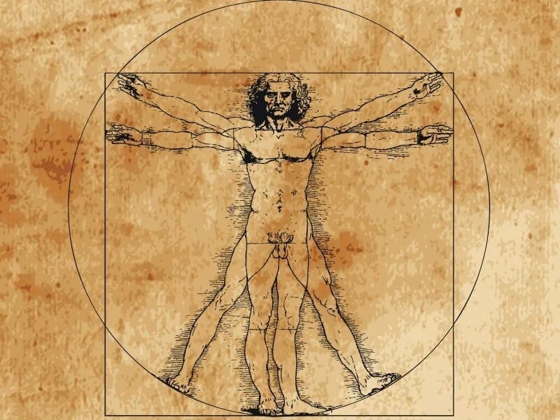 mappa auricoloterapia