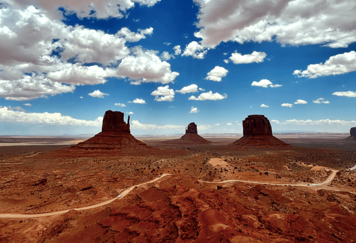 Arbre mort dans Monument Valley