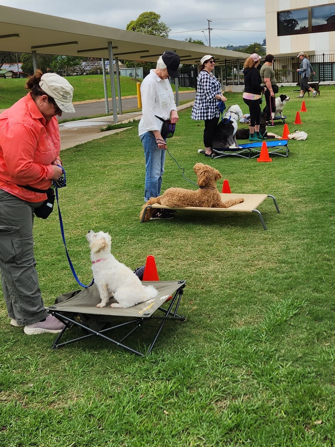 dog trainer with a black cocker spaniel ready for a walk