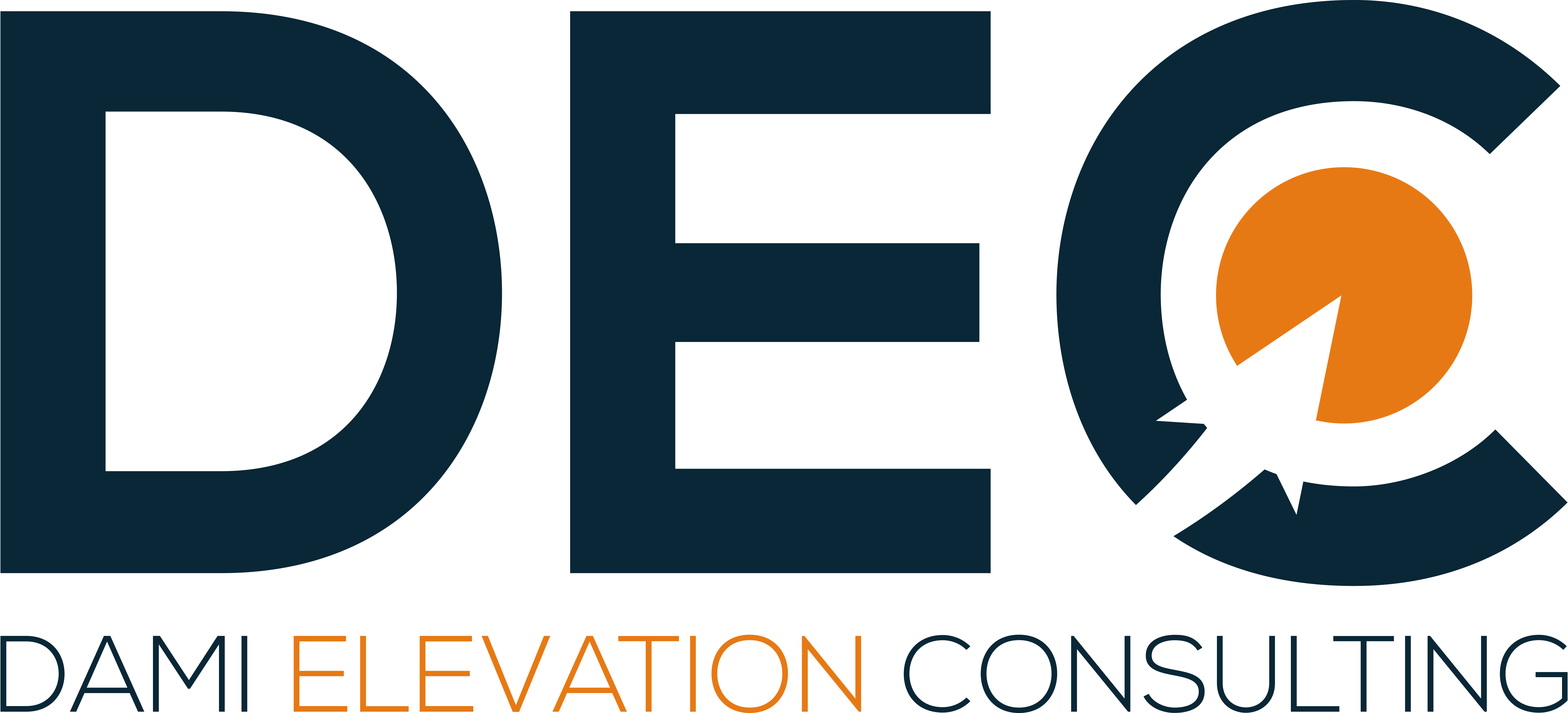 Dami Elevation Consulting